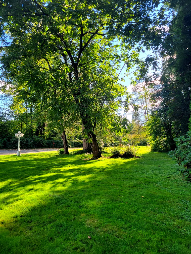 front yard 9-14-24 x1024 (585K)